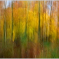 Herbstimpression2.jpg
