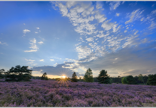 Lüneburger Heide Büsenbachtal