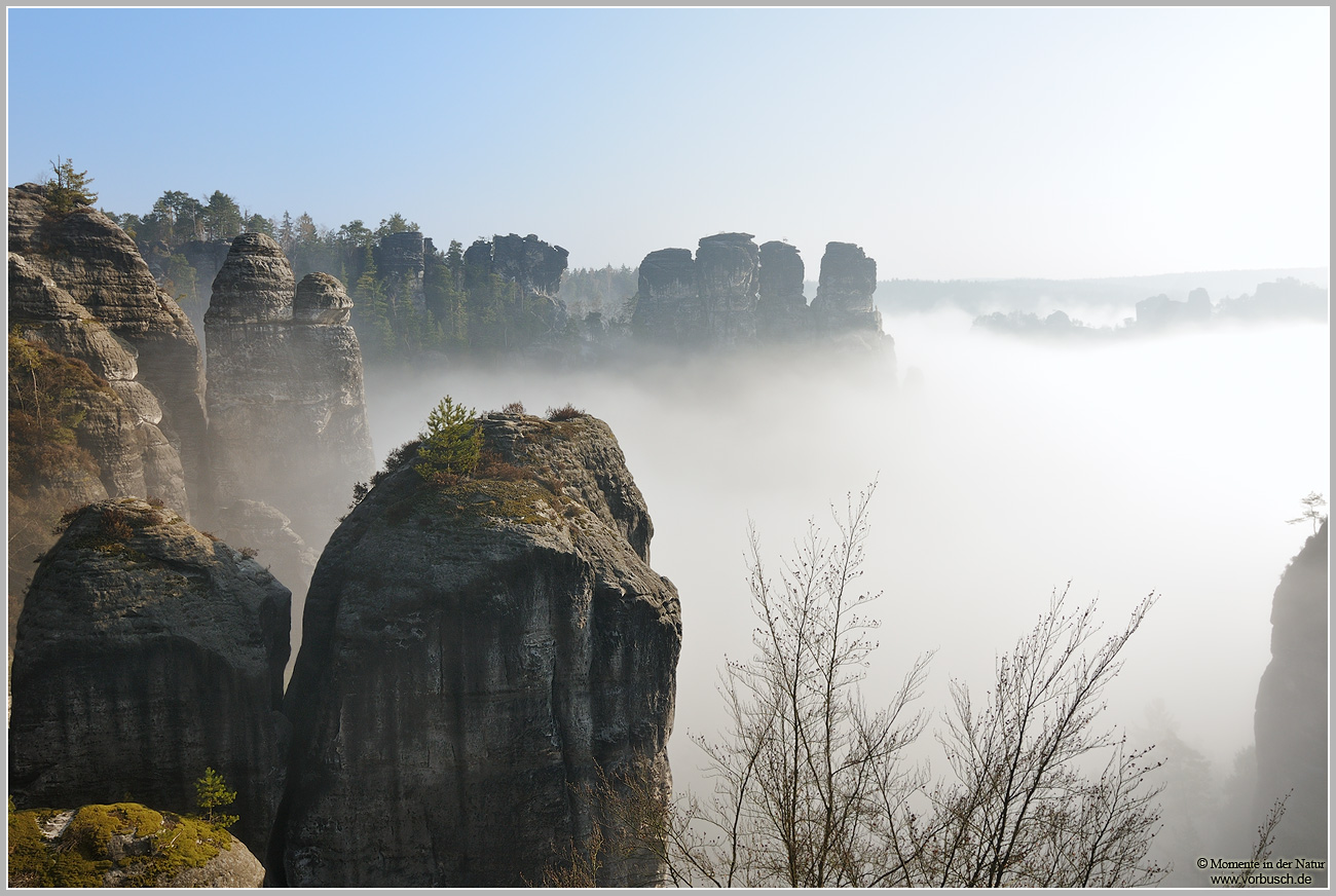 Elbsandsteingebirge-nahe-Bastei-im-Nebel_2.jpg