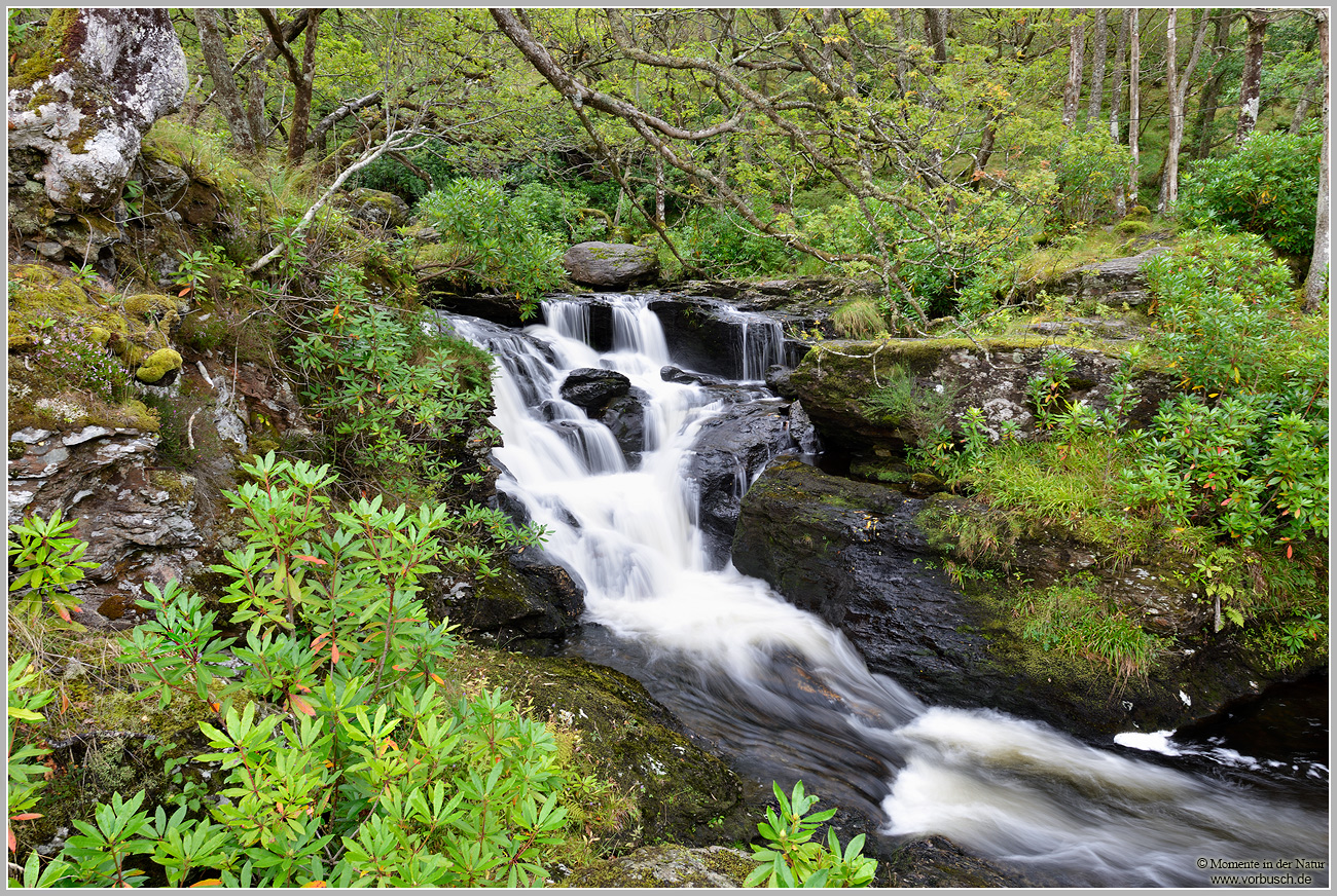 Wasserfall nahe Inersnaid, Highlands