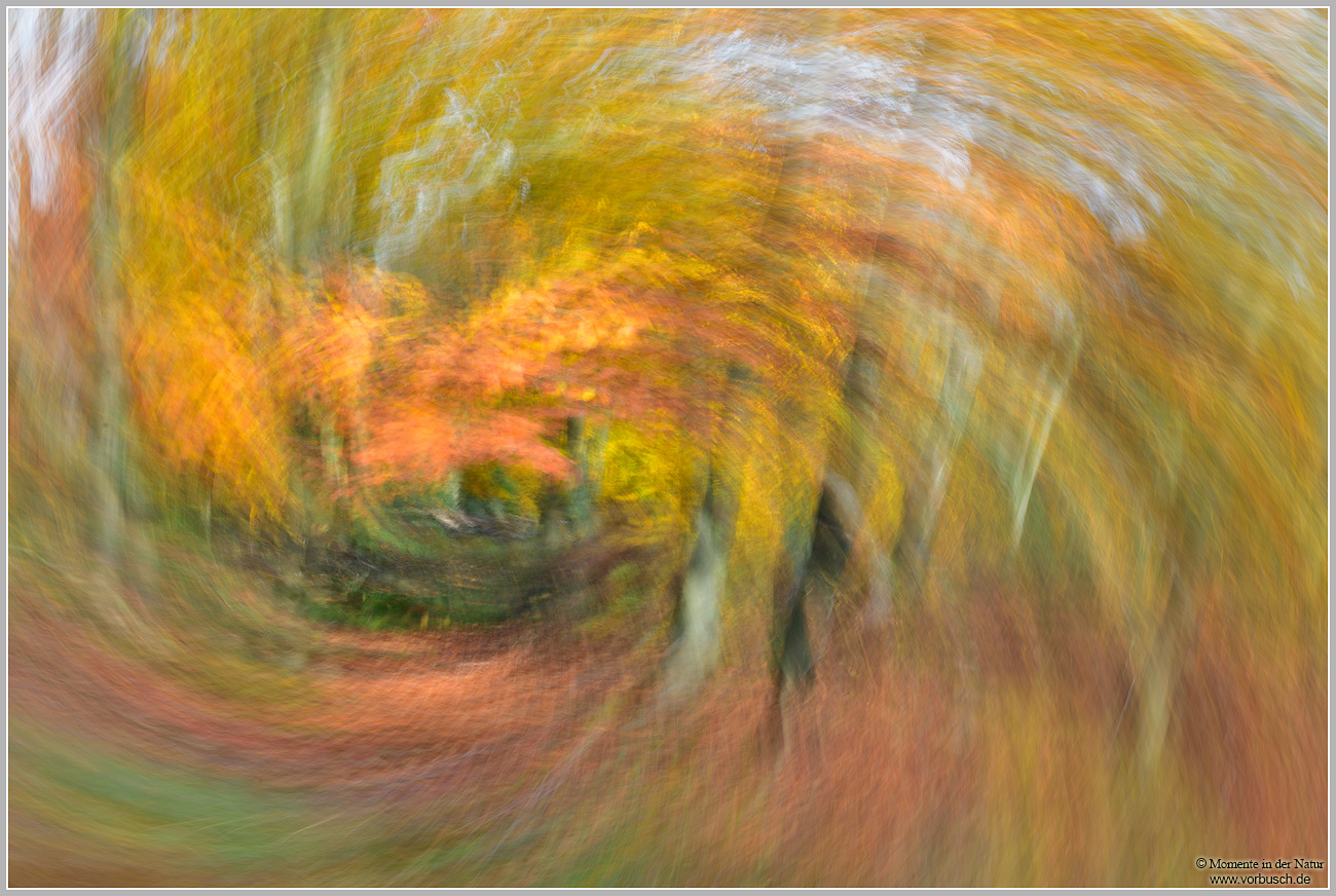 Herbstimpression.jpg