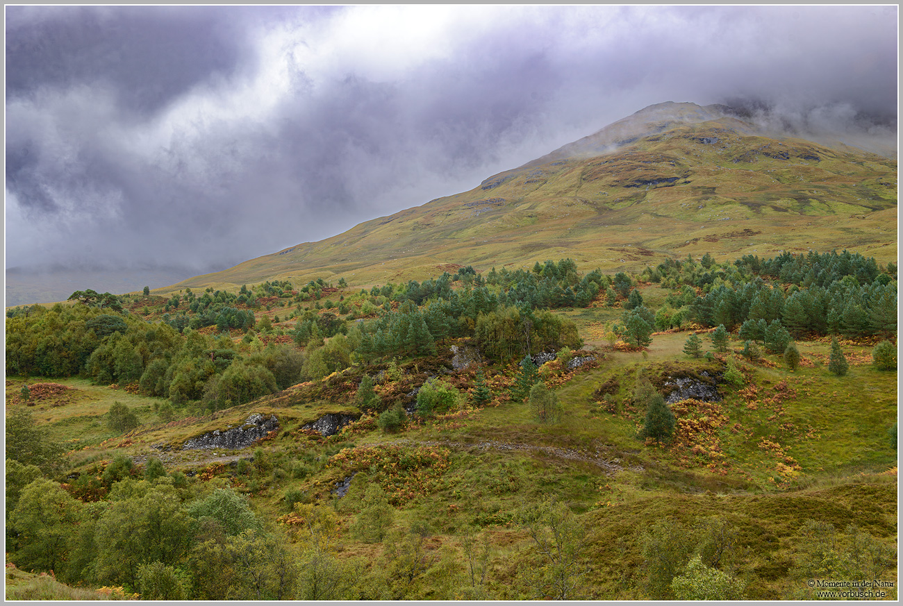 Highlands.jpg
